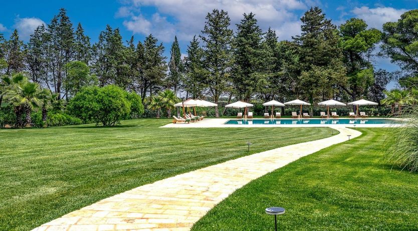 Photo of Basket Of Lemons