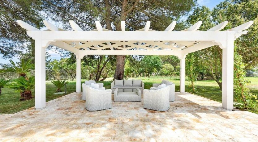 Photo of Basket Of Lemons