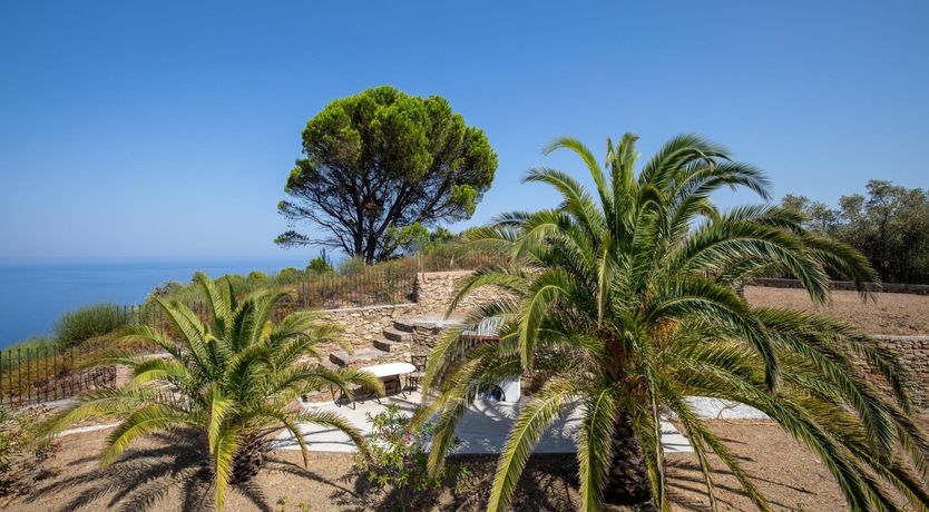 Photo of Blue Stripes