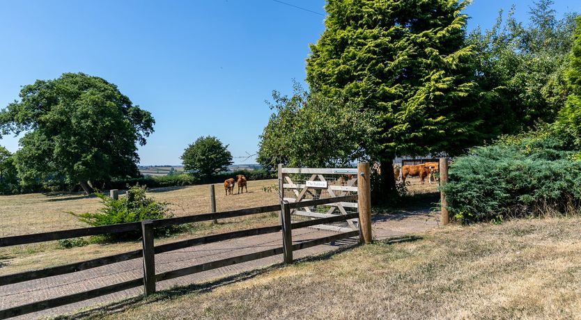 Photo of Monarch's Hideaway