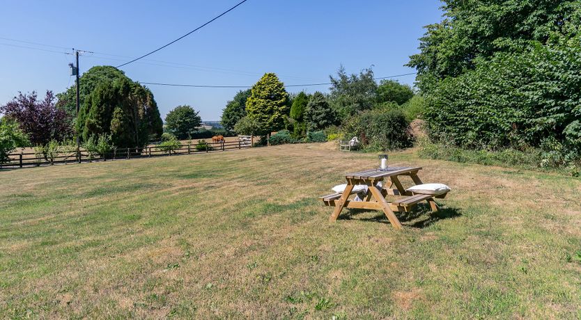 Photo of Monarch's Hideaway