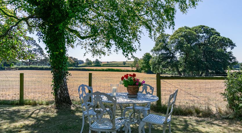 Photo of Monarch's Hideaway