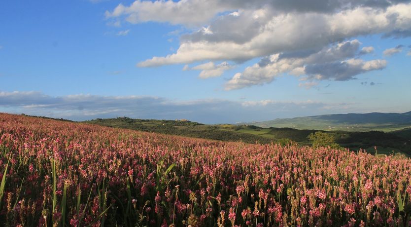 Photo of Casa Rosana