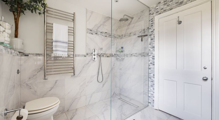 Photo of The Swan Lake