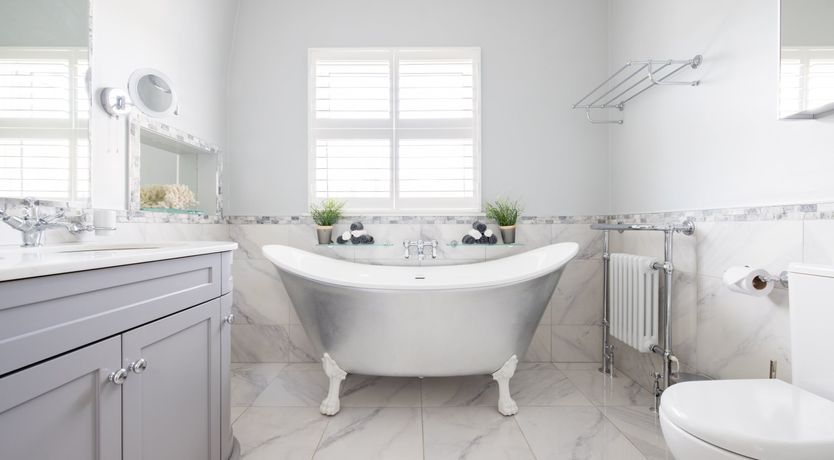 Photo of The Swan Lake