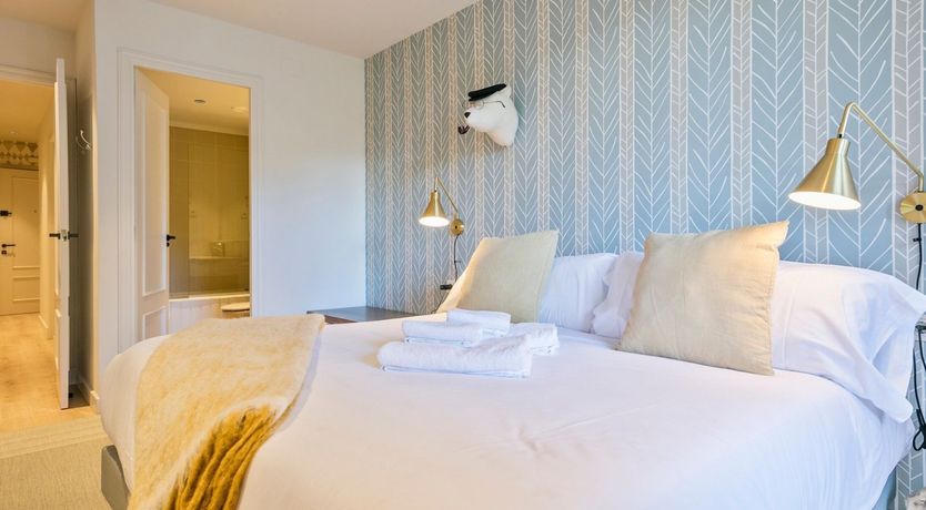 Photo of Silhouetted Pines