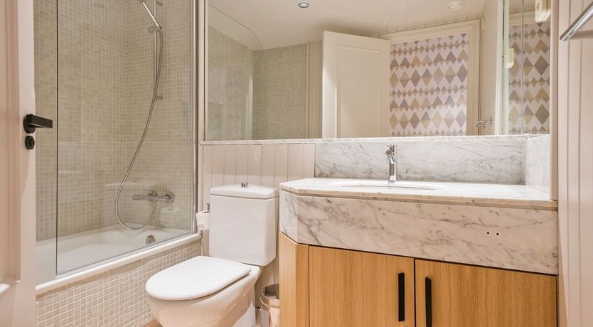 Photo of Silhouetted Pines