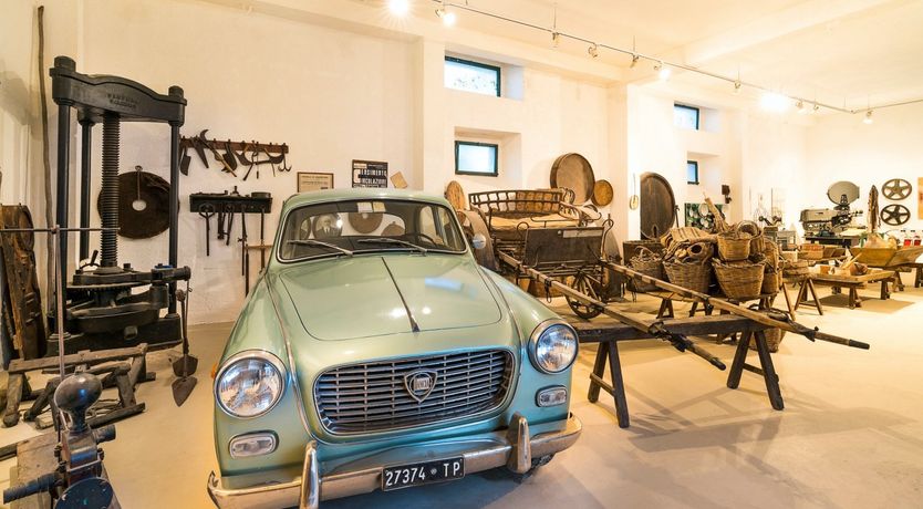 Photo of Apricot Branch