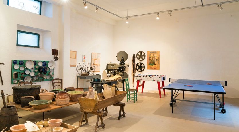 Photo of Apricot Branch