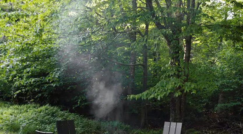 Photo of Reynard's Den