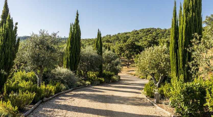 Photo of Emerald & Crimson