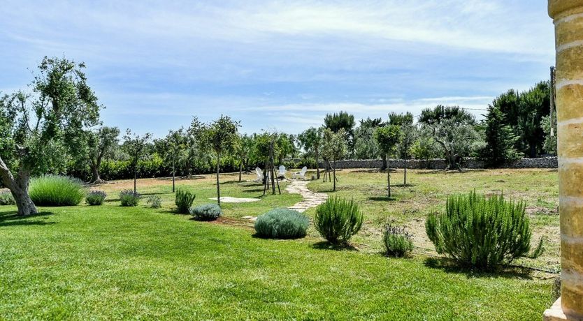 Photo of Country Olive