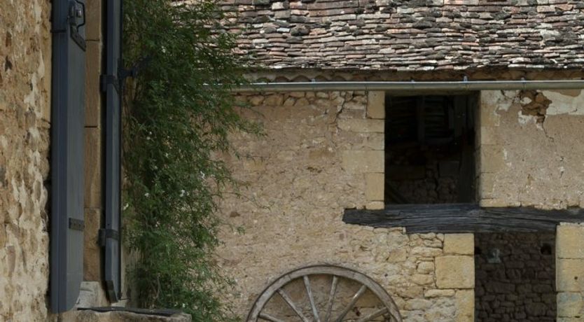 Photo of Jasmine On Stone