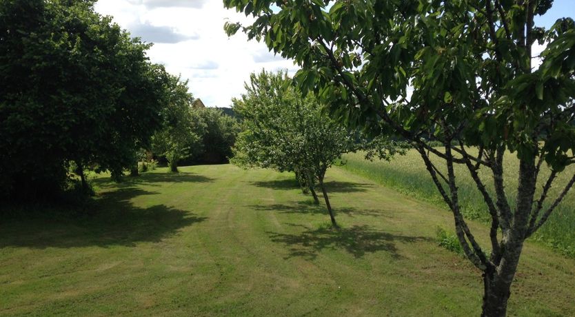 Photo of Jasmine On Stone
