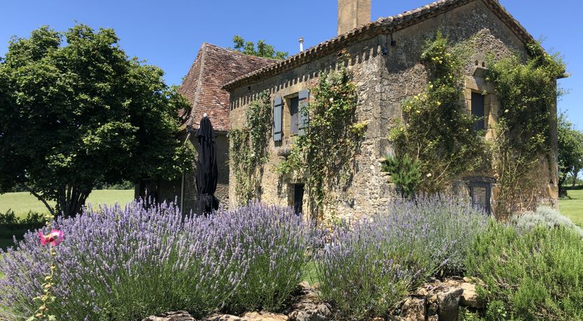 Photo of Jasmine On Stone