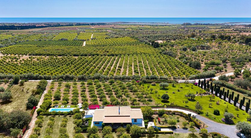 Photo of Cyan Scenes