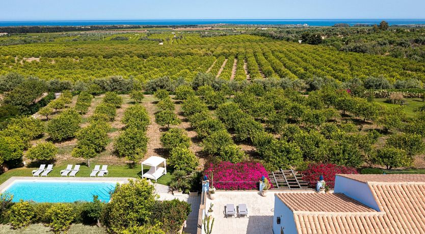 Photo of Cyan Scenes