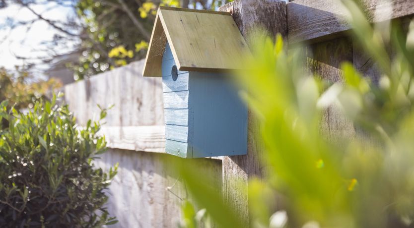 Photo of Seaside Nostalgia