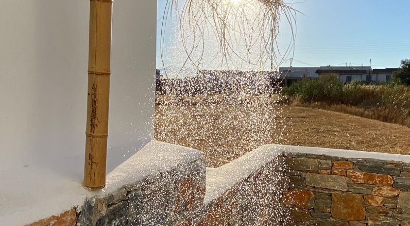 Photo of Love & Lemonade