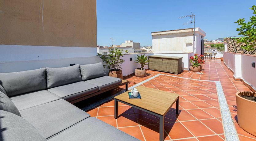 Photo of Show Me Your Sol