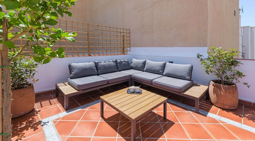 Photo of Show Me Your Sol