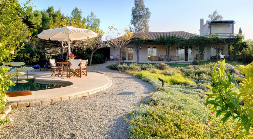 Photo of Films on Vine