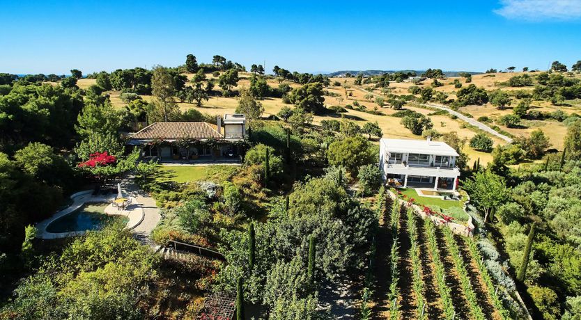 Photo of Films on Vine