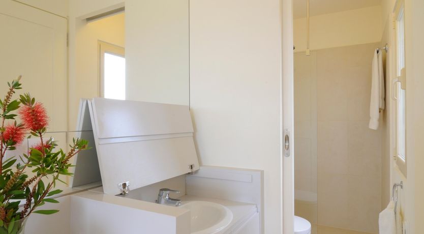 Photo of Films on Vine