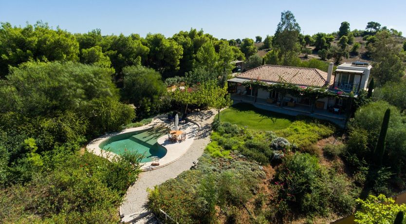 Photo of Films on Vine