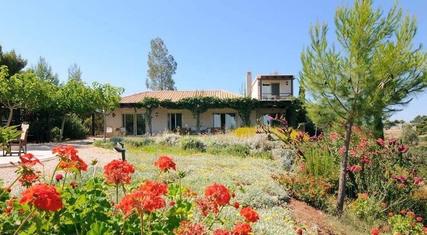 Photo of Films on Vine