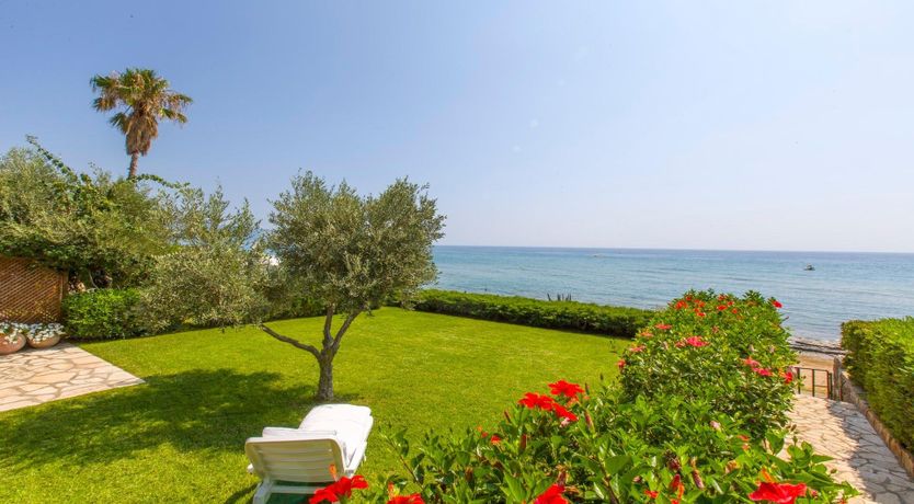 Photo of Willows & Olives