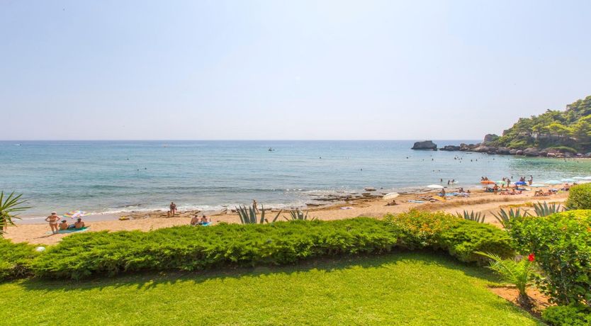 Photo of Willows & Olives