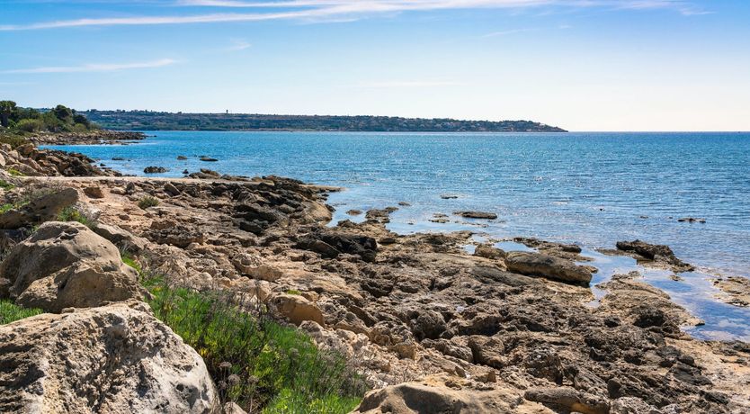 Photo of Marinella Muse