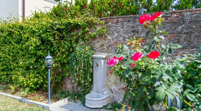 Photo of Pistachio Pesto