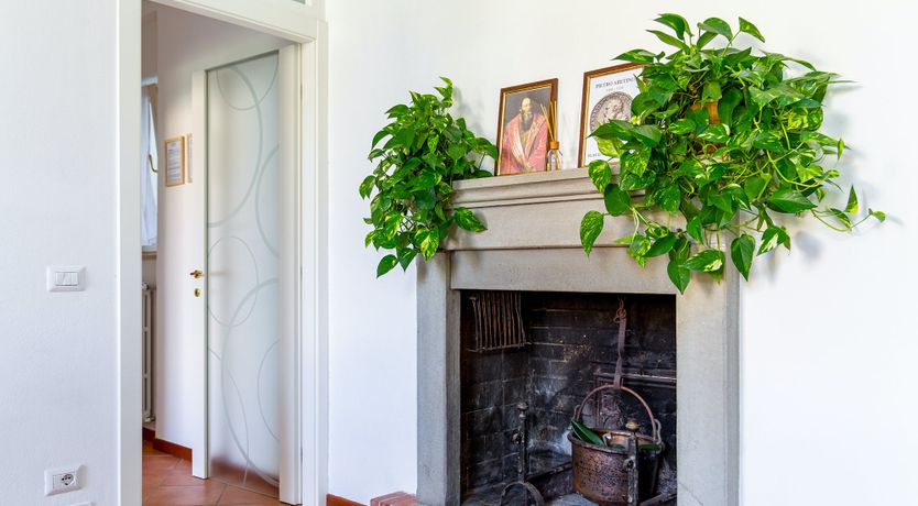 Photo of Pistachio Pesto