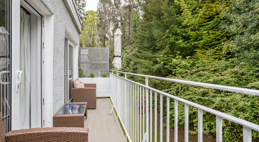 Photo of Golden Unicorn