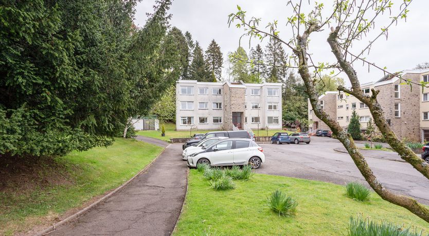 Photo of Golden Unicorn