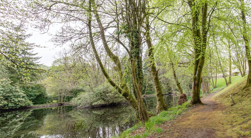 Photo of Golden Unicorn