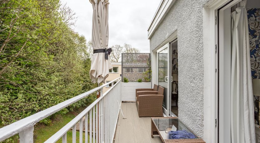 Photo of Golden Unicorn