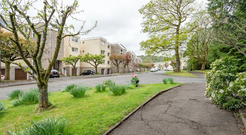 Photo of Golden Unicorn