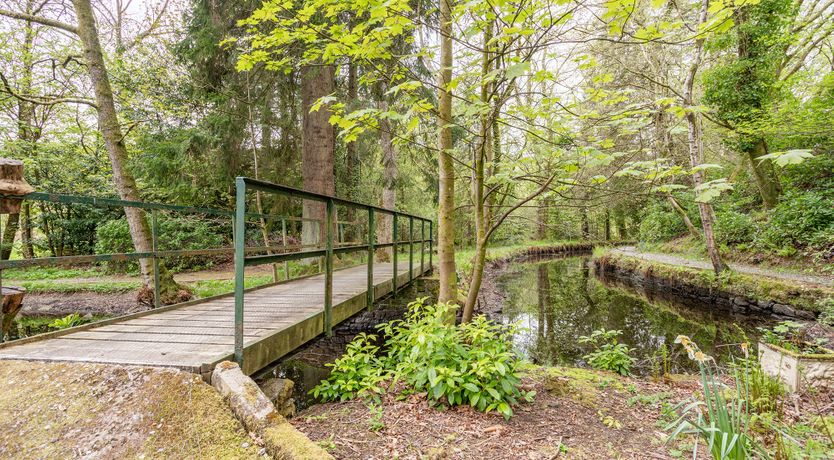 Photo of Golden Unicorn