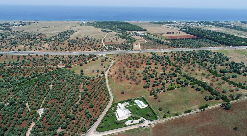 Photo of Where Love Is King