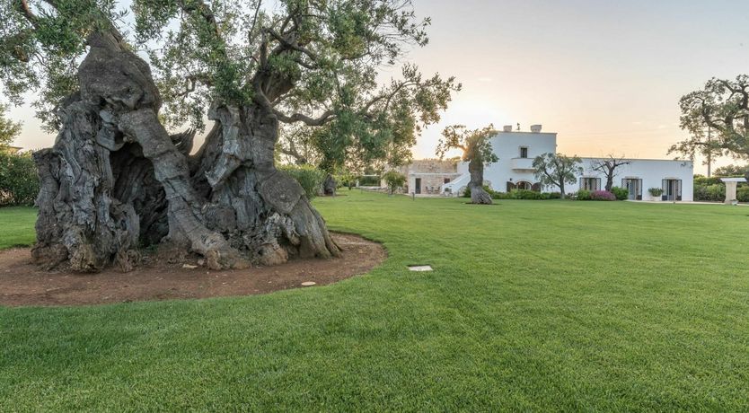 Photo of Where Love Is King