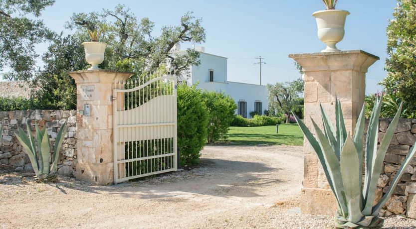 Photo of Where Love Is King