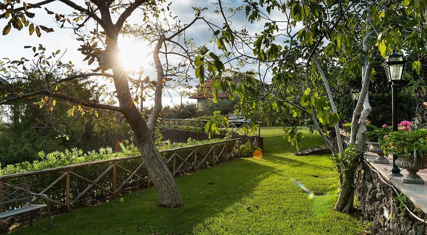 Photo of Fruit On The Trees