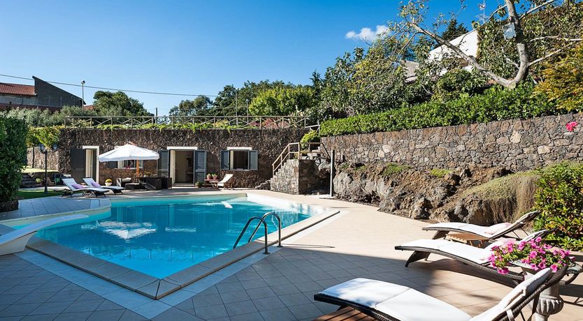 Photo of Fruit On The Trees