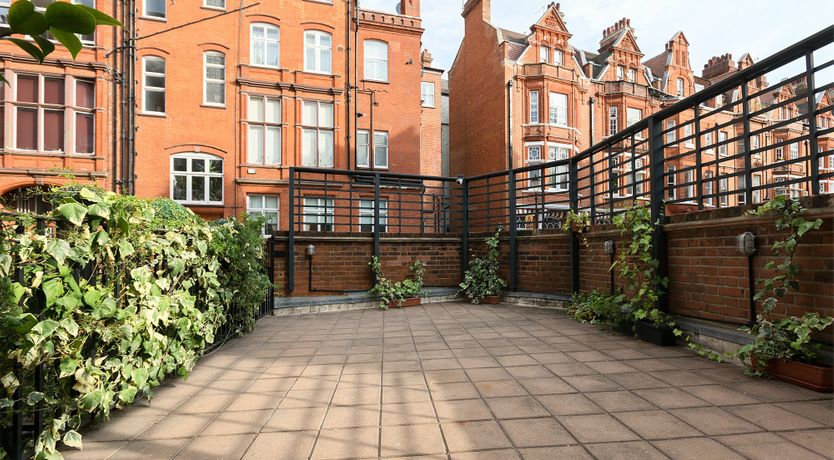 Photo of Lord Chelsea