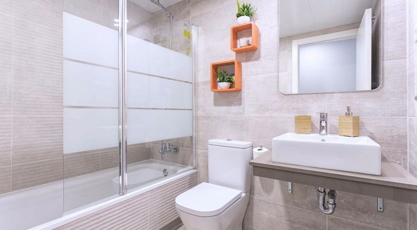 Photo of Pacifico Palm