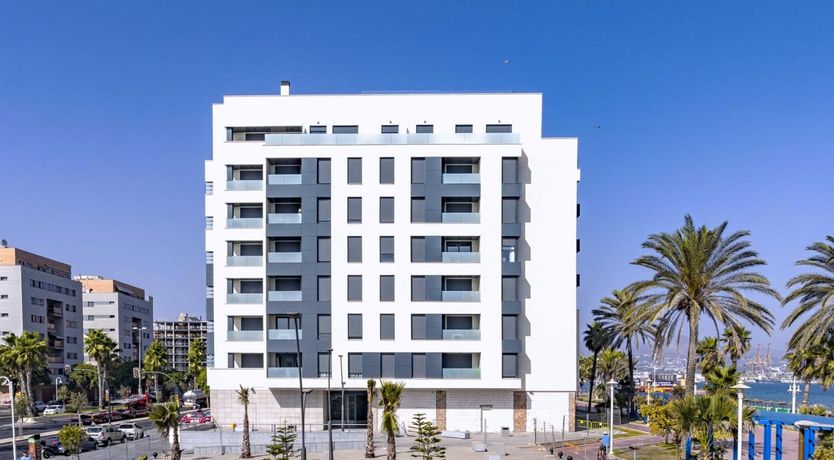 Photo of Pacifico Palm