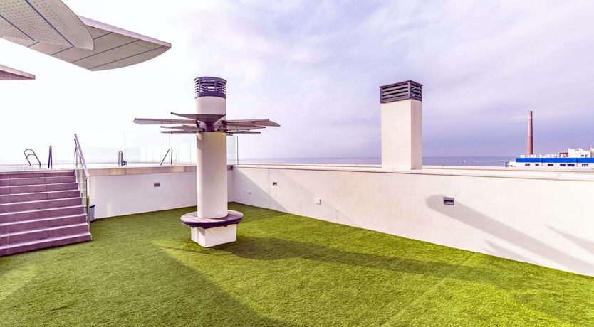 Photo of Pacifico Palm